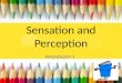 Sensation and Perception PSYCHOLOGY 1. Objectives -U-Understand the definition of sensation and perception; -D-Discuss concepts of threshold; -E-Explain