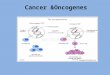 Cancer &Oncogenes. Objectives Define the terms oncogene, proto-oncogenes and growth factors giving examples. Describe the mechanisms of activations of