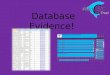 Database Evidence!. Database Evidence Over the course of 4 lessons I completed the database. The database had to contain lots of information about 174