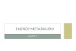 CHAPTER 9 ENERGY METABOLISM. LEARNING OUTCOMES Explain the differences among metabolism, catabolism and anabolism Describe aerobic and anaerobic metabolism