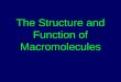 The Structure and Function of Macromolecules. II. Classes of Organic Molecules: What are the four classes of organic molecules? Carbohydrates Lipids Proteins