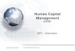January 2007 (v1.0) The Rushmore Group, LLC1 Human Capital Management (HCM) BPI - Overview