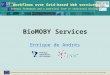 Workflows over Grid-based Web services General framework and a practical case in structural biology BioMOBY Services Enrique de Andrés