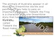 Www.ks1resources.co.uk The animals of Australia appear in all Aboriginal Dreamtime stories and paintings. They help to pass on important messages. Tiddalik