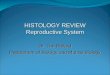 HISTOLOGY REVIEW Reproductive System Dr. Tim Ballard Department of Biology and Marine Biology