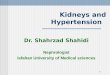 Kidneys and Hypertension Dr. Shahrzad Shahidi Nephrologist Isfahan University of Medical sciences 1