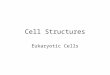 Cell Structures Eukaryotic Cells. Cell Parts Cells â€“ the basic unit of life Organelles - small structures inside a cell with specific functions. Analogy