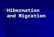 Hibernation and Migration. Adaptation People are always having to adapt or change to different situations People are always having to adapt or change