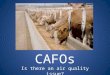 CAFOs Is there an air quality issue?. MMACHS Meridian Medical Arts Charter High School