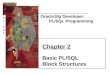 PL/SQLPL/SQL Oracle10g Developer: PL/SQL Programming Chapter 2 Basic PL/SQL Block Structures
