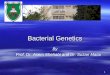 1 By Prof. Dr. Asem Shehabi and Dr. Suzan Matar Bacterial Genetics