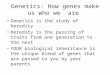 Genetics: How genes make us who we are Genetics is the study of heredity Heredity is the passing of traits from one generation to the next YOUR biological