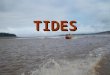 TIDES. Definition Tides = periodic rise and fall of large bodies of waterTides = periodic rise and fall of large bodies of water