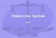 Endocrine System SBI4U. Endocrine System Regulation of Body Temperature Regulation of Body’s H 2 O Content Regulation of Serum Glucose Levels Regulation