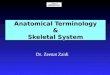 Anatomical Terminology & Skeletal System Dr. Zeenat Zaidi