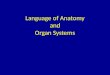 Language of Anatomy and Organ Systems. Anatomical Position