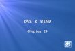 DNS & BIND Chapter 24. This Chapter DNS Overview
