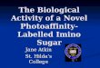 The Biological Activity of a Novel Photoaffinity- Labelled Imino Sugar Jane Atkin St. Hilda’s College