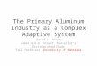 The Primary Aluminum Industry as a Complex Adaptive System David L. Olson James & H.K. Stuart Chancellor’s Distinguished Chair Full Professor, University