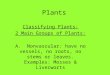 Plants Classifying Plants: 2 Main Groups of Plants: A. Nonvascular: have no vessels, no roots, no stems or leaves. Examples: Mosses & Liverworts