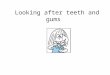 Looking after teeth and gums. In this lesson I will learn about Brushing my teeth and gums twice a day, before going to bed at night and in the morning
