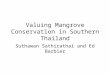Valuing Mangrove Conservation in Southern Thailand Suthawan Sathirathai and Ed Barbier