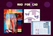 MAD FOR CAD. Using ICT in Textiles The use of CAD/CAM in the textile industry is widely used Whatever the job a certain degree of ICT knowledge is essential