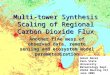 Multi-tower Synthesis Scaling of Regional Carbon Dioxide Flux Another fine mess of observed data, remote sensing and ecosystem model parameterization Ankur