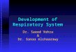 Development of Respiratory System Dr. Saeed Vohra & Dr. Sanaa Alshaarawy