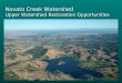 Novato Creek Watershed Upper Watershed Restoration Opportunities