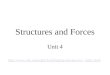 Structures and Forces Unit 4 