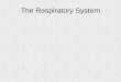 The Respiratory System. Respiratory System Organs of the Respiratory System Upper respiratory system â€“Nose, nasal cavity, pharynx, glottis and larynx