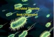 Microbial Diversity Scott Clingenpeel. Complete Genomes 2671 Prokaryotic genomes in GenBank 114 Eukaryotic genomes â€“ 9 Plants â€“ 52 Animals Do we really