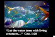 “Let the water teem with living creatures…” Gen. 1:20