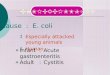 â€ Especially attacked young animals â€ Human : » Infant : Acute gastroenteritis » Adult : Cystitis COLIBACILLOSIS Cause : E. coli