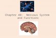 Chapter 48: Nervous System and Functions. Nervous system Components Neurons are the basic nerve cell or smallest entity of communication - all animals