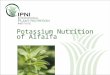 Potassium Nutrition of Alfalfa. Potassium (K) Nutrition of Alfalfa Outline: 1.Plant development 2.Diagnosis 3.Yield and quality 4.Economics 5.Irrigation