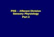 PNS – Afferent Division Sensory Physiology Part 2