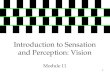 11 Introduction to Sensation and Perception: Vision Module 11