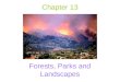 Chapter 13 Forests, Parks and Landscapes. Two Mindsets of Wildland Fires “Smokey the Bear”: –All wildfires are bad and are mostly due to people Managing