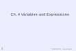 Comp Sci 251 -- vars & expns 1 Ch. 4 Variables and Expressions