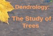 1. 1.To understand dendrology. 2.To evaluate tree anatomy. 3.To determine the age of a tree. 4.To identify tree species. 2