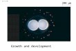 LE 12-2b Growth and development 200 µm. LE 12-2c Tissue renewal 20 µm