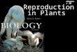 Reproduction in Plants Chapter 28. Reproduction in Plants 2Outline Reproductive Strategies  Alternation of generations  Adaptation to a land environment