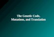 The Genetic Code, Mutations, and Translation. OVERVIEW OF TRANSLATION The second stage in gene expression is translating the nucleotide sequence of a