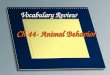 Vocabulary Review Ch 44- Animal Behavior. A person who specializes in the scientific study of animal behavior Ethologist
