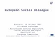European Commission Directorate-General for Employment, Social Affairs and Equal Opportunities ─ Unit F11 European Social Dialogue Brussels, 29 October