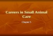 Careers in Small Animal Care Chapter 5. Introduction $20.3 billion/year $20.3 billion/year $11 billion/year (vet) $11 billion/year (vet) $9 billion/year