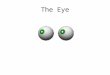 The Eye. Energy v. Chemical senses Energy SensesChemical Senses