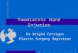 Paediatric Hand Injuries Dr Brigid Corrigan Plastic Surgery Registrar